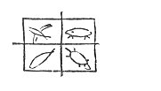 boe07