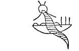 boe07