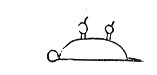 boe07