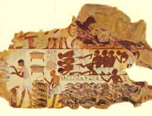 Egyptian Myth and Legend, Plate 7
