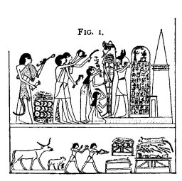 bodead-plate05-6