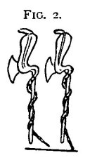 bodead-plate-07-10
