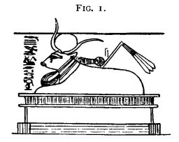 bodead-plate-07-10