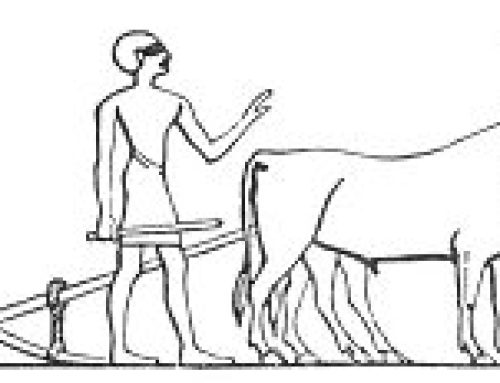 Colonies of Atlantis ch. 10