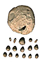 ms4632